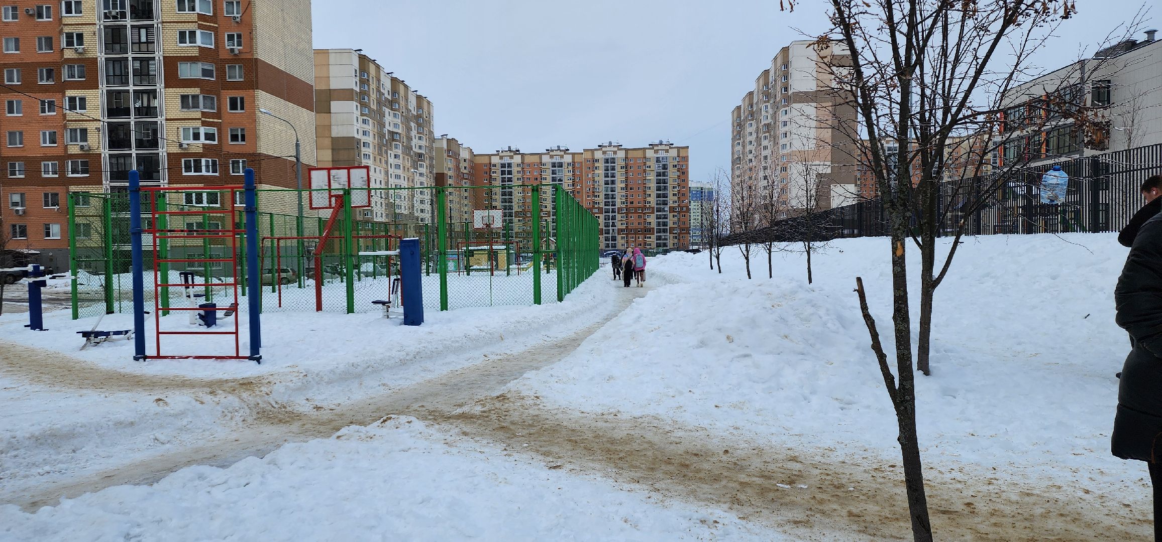 дорожные знаки, Курыжова, Домодедово, проверка уборки улиц,