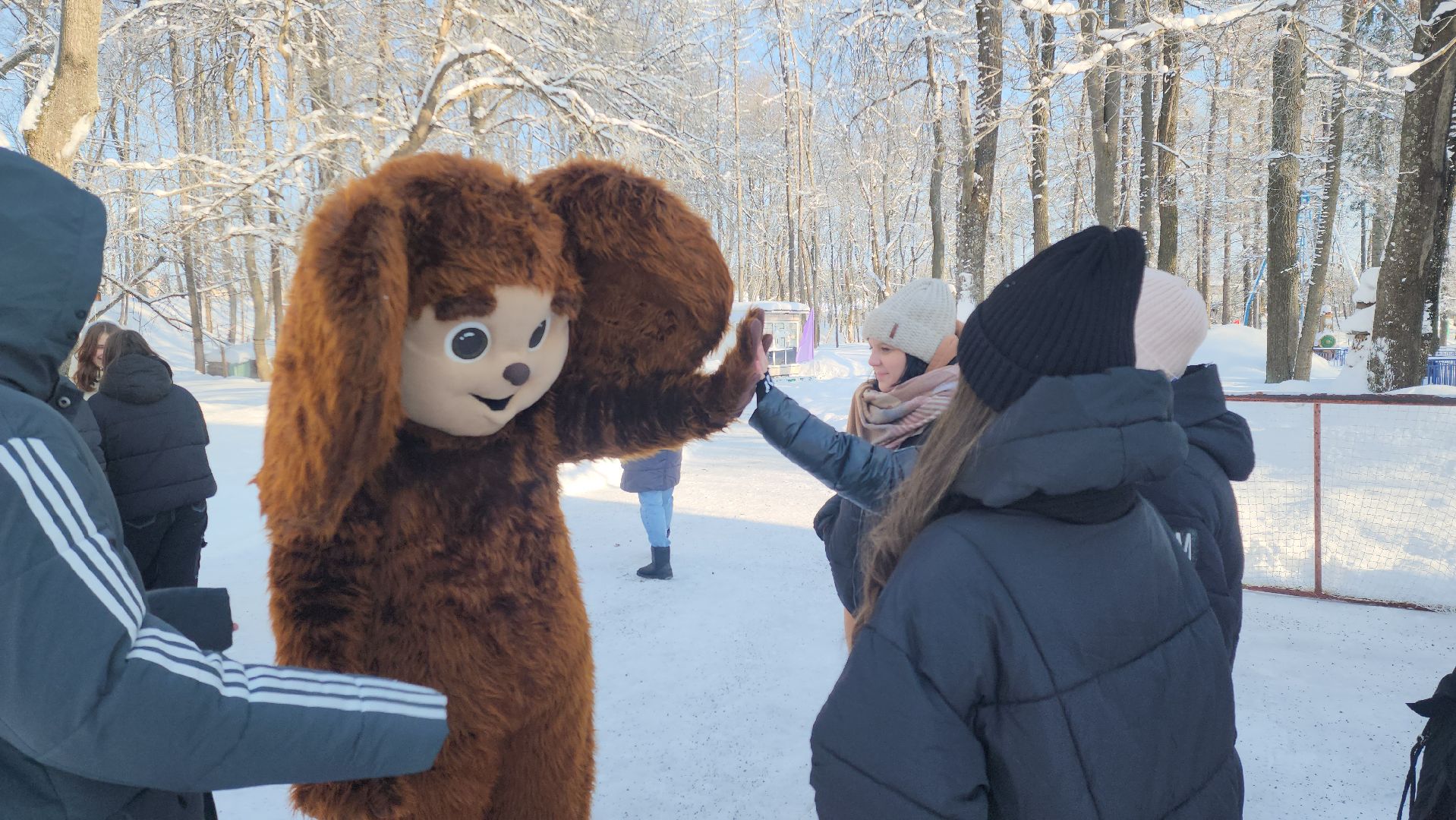 стартуют все, парки подмосковья, спорт в подмосковье, руза, рузский городской округ, московская область, спорт в Рузе,