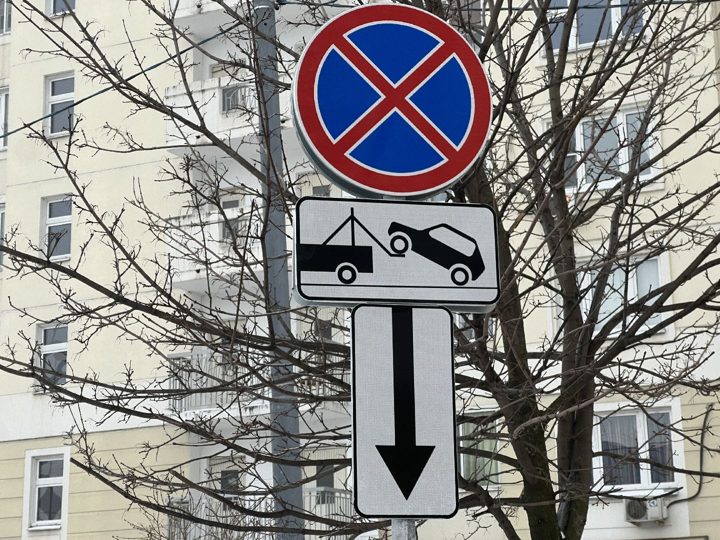 химки, благоустройство, дорожные знаки во дворах, мусорные площадки, вывоз мусора,