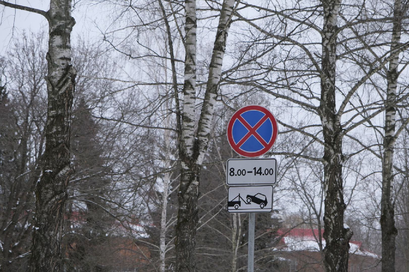 пущино, контейнерные площадки, пдд, знаки, знаки запрета парковки,