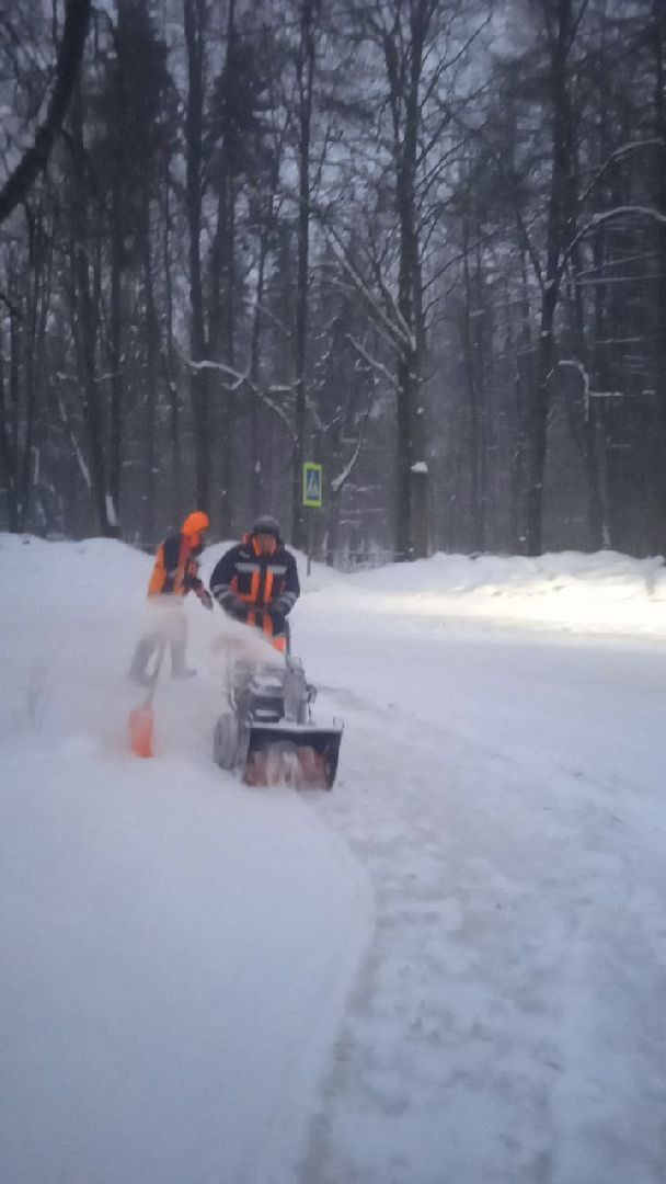 пушкино, снегопад, уборка снега, жкх,