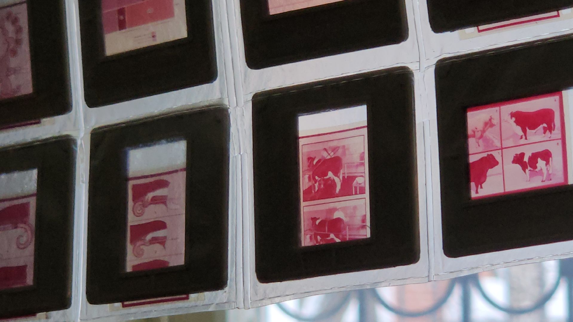 подольск, история, медицина, эко,