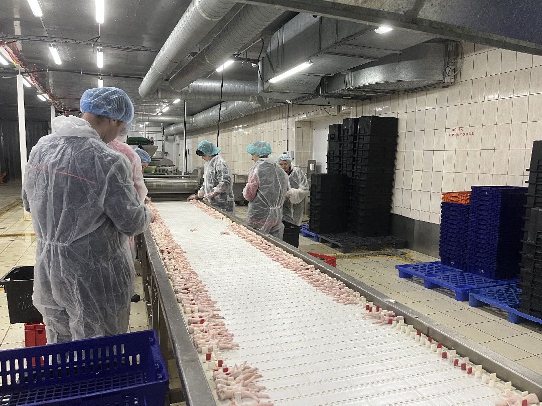 Шаховская, предприятие, Китай, импорт