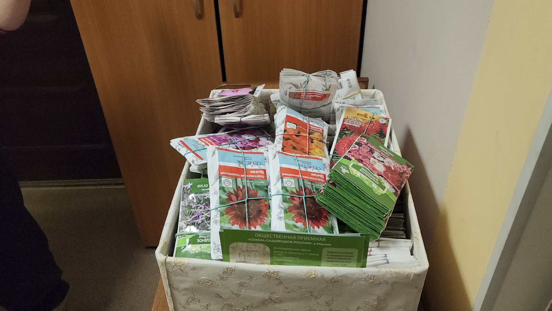 Город-сад, движение, волонтеры, Поиск, Гавриш, Пушкарва, семена, раздача, бесплатно,