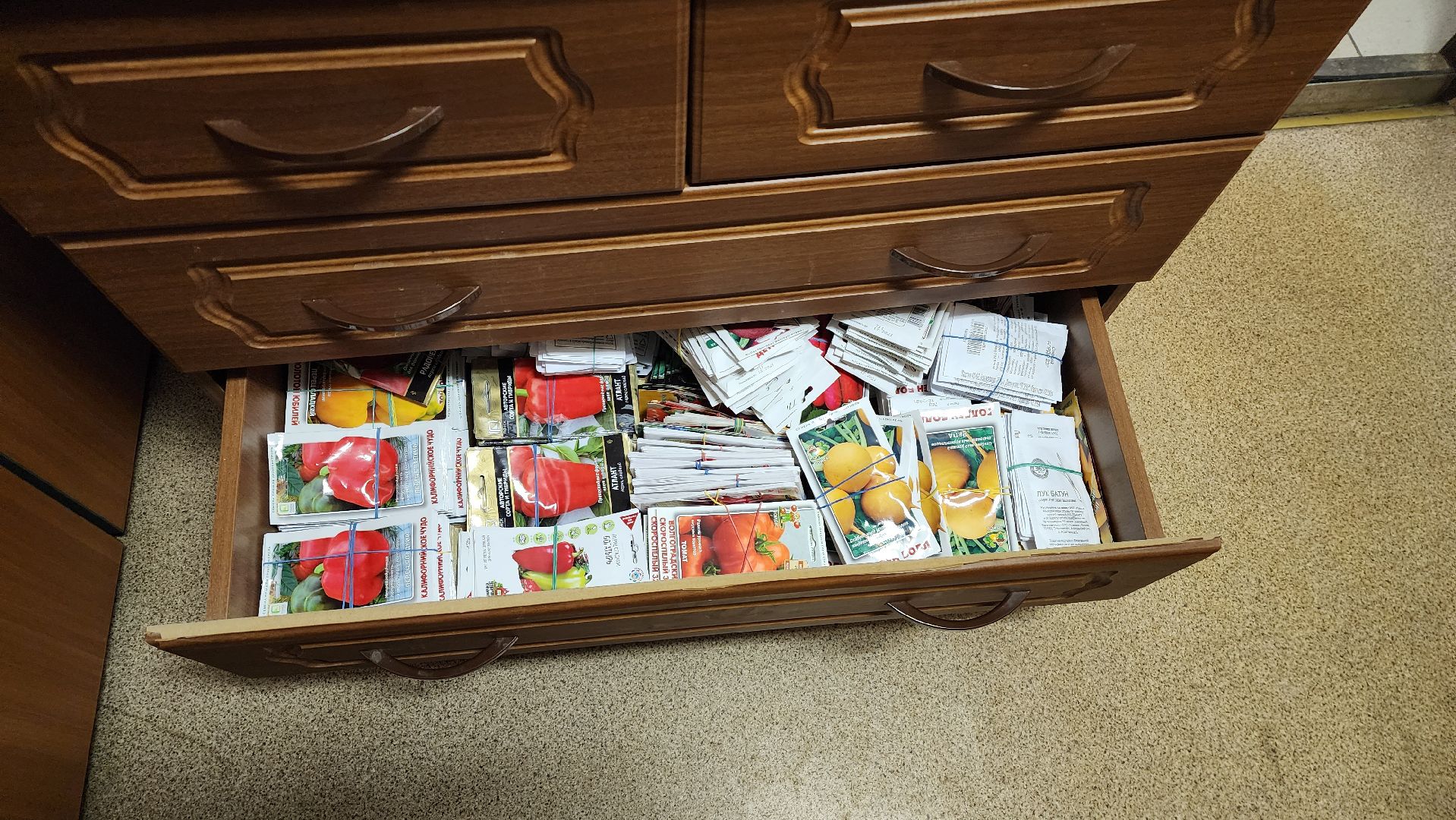 Город-сад, движение, волонтеры, Поиск, Гавриш, Пушкарва, семена, раздача, бесплатно,