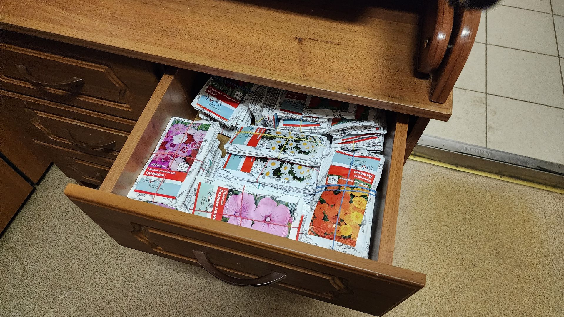 Город-сад, движение, волонтеры, Поиск, Гавриш, Пушкарва, семена, раздача, бесплатно,