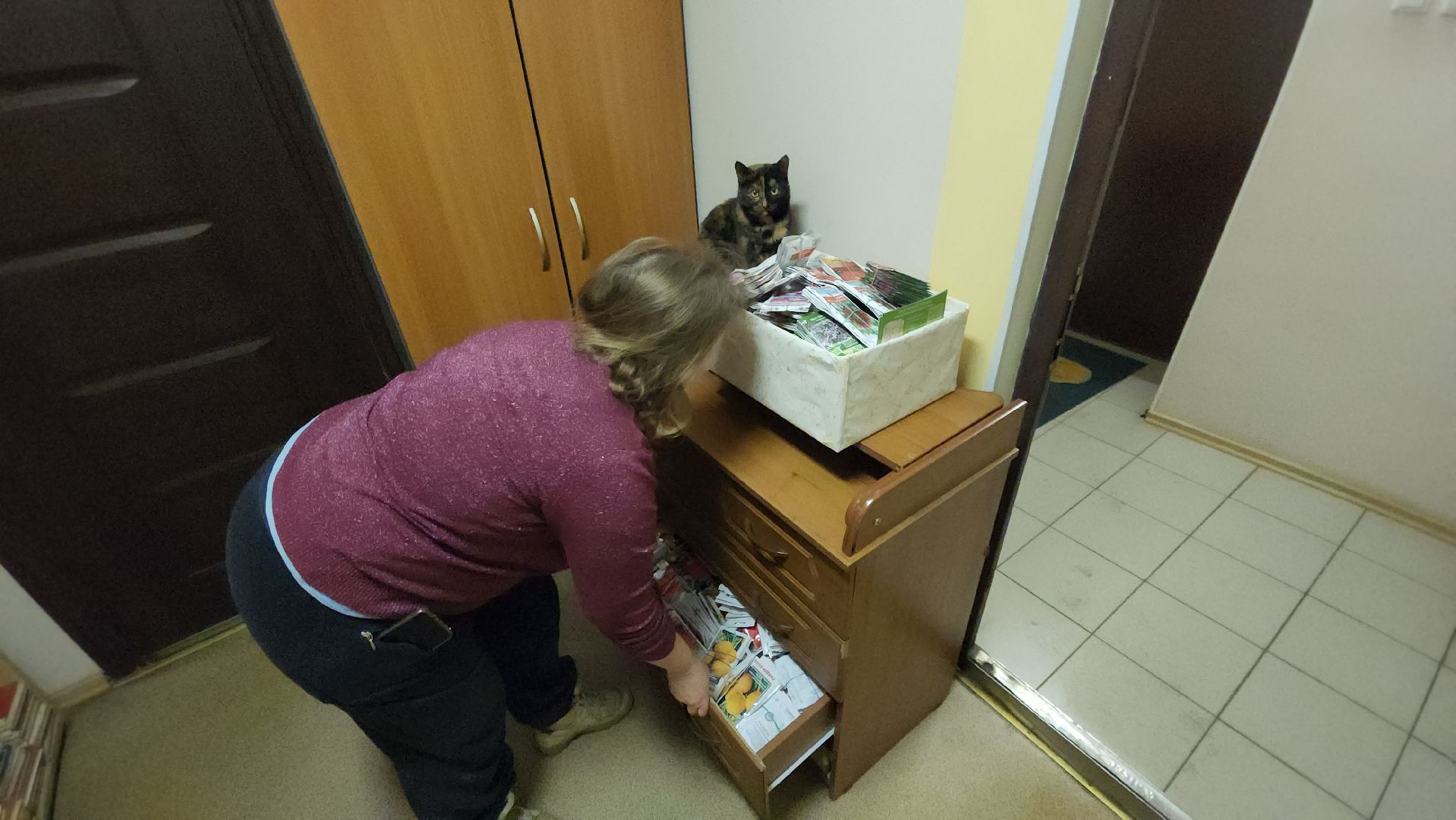 Город-сад, движение, волонтеры, Поиск, Гавриш, Пушкарва, семена, раздача, бесплатно,