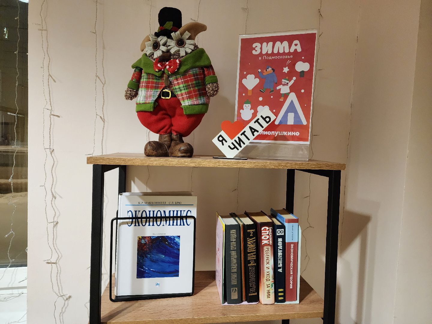 пушкино, библиотека, книги, акция, акция из рук в руки, день книгодарения,