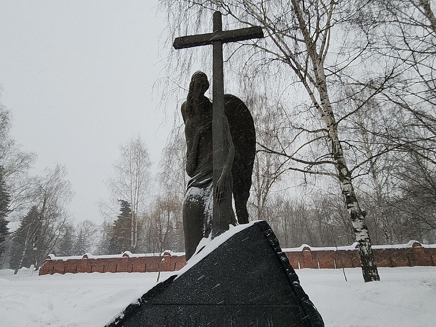 коломна, общество, афганистан,