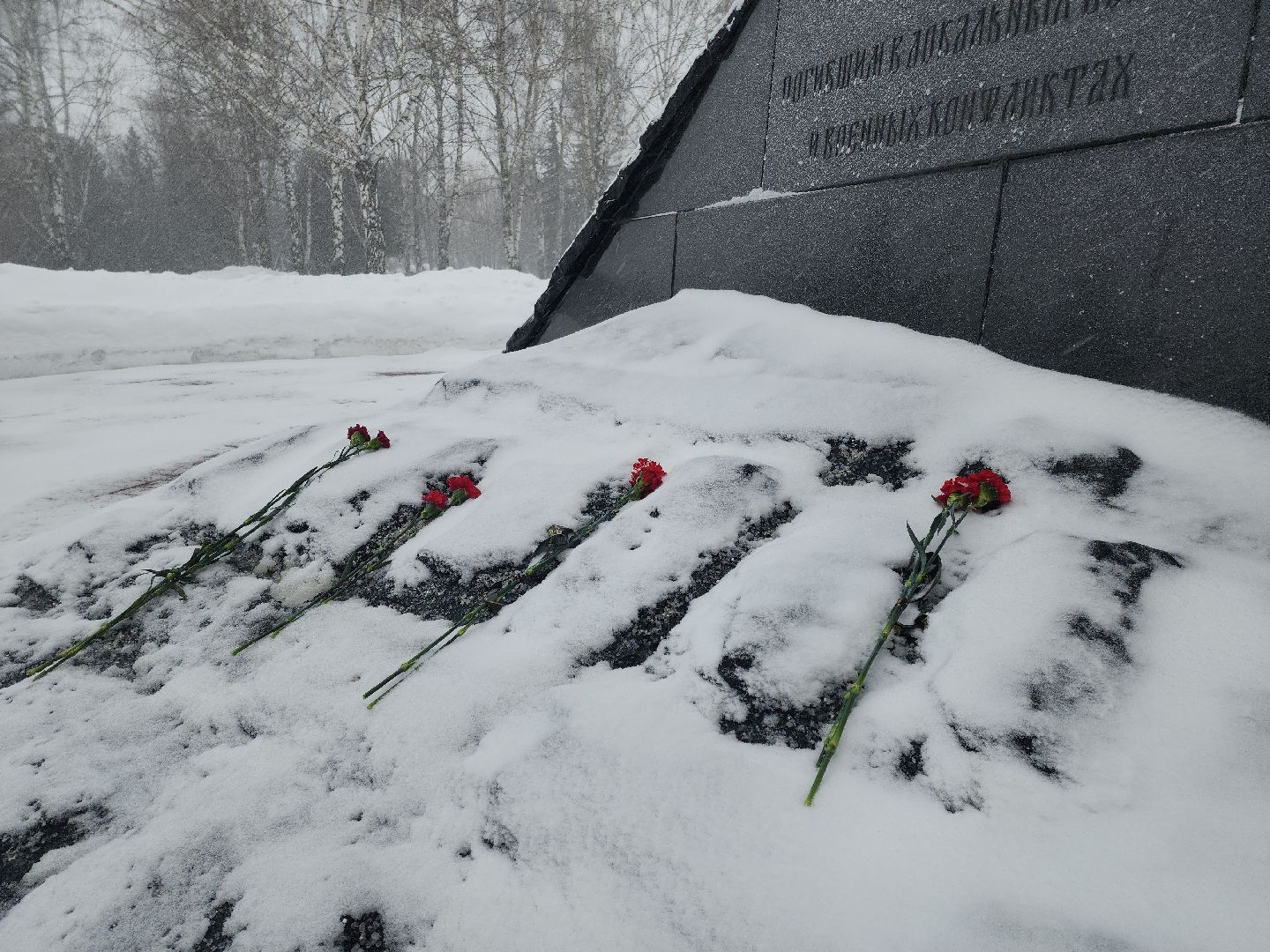 коломна, общество, афганистан,