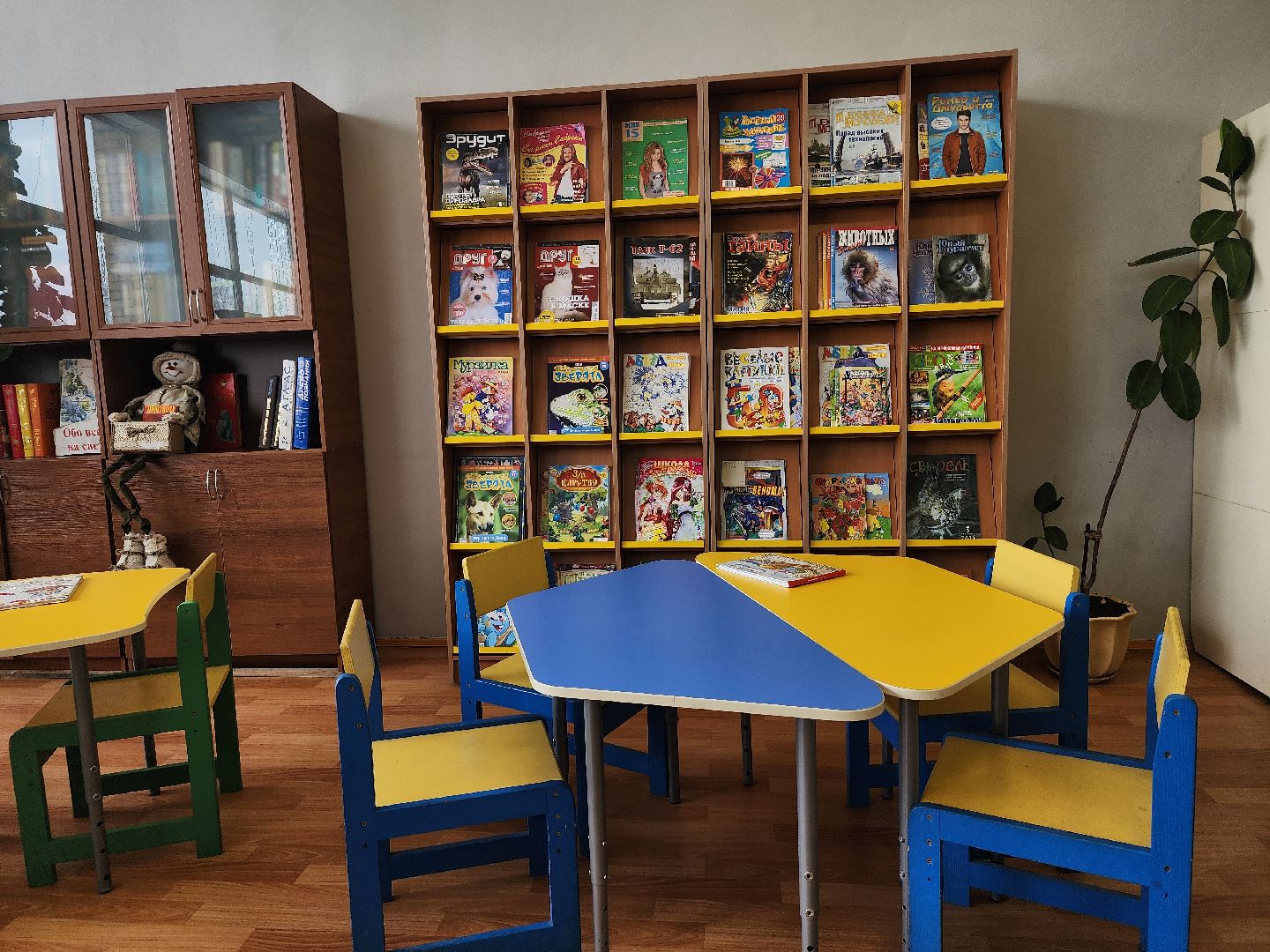 библиотека, книги, центр культуры, Старая Купавна, Богородский городской округ,