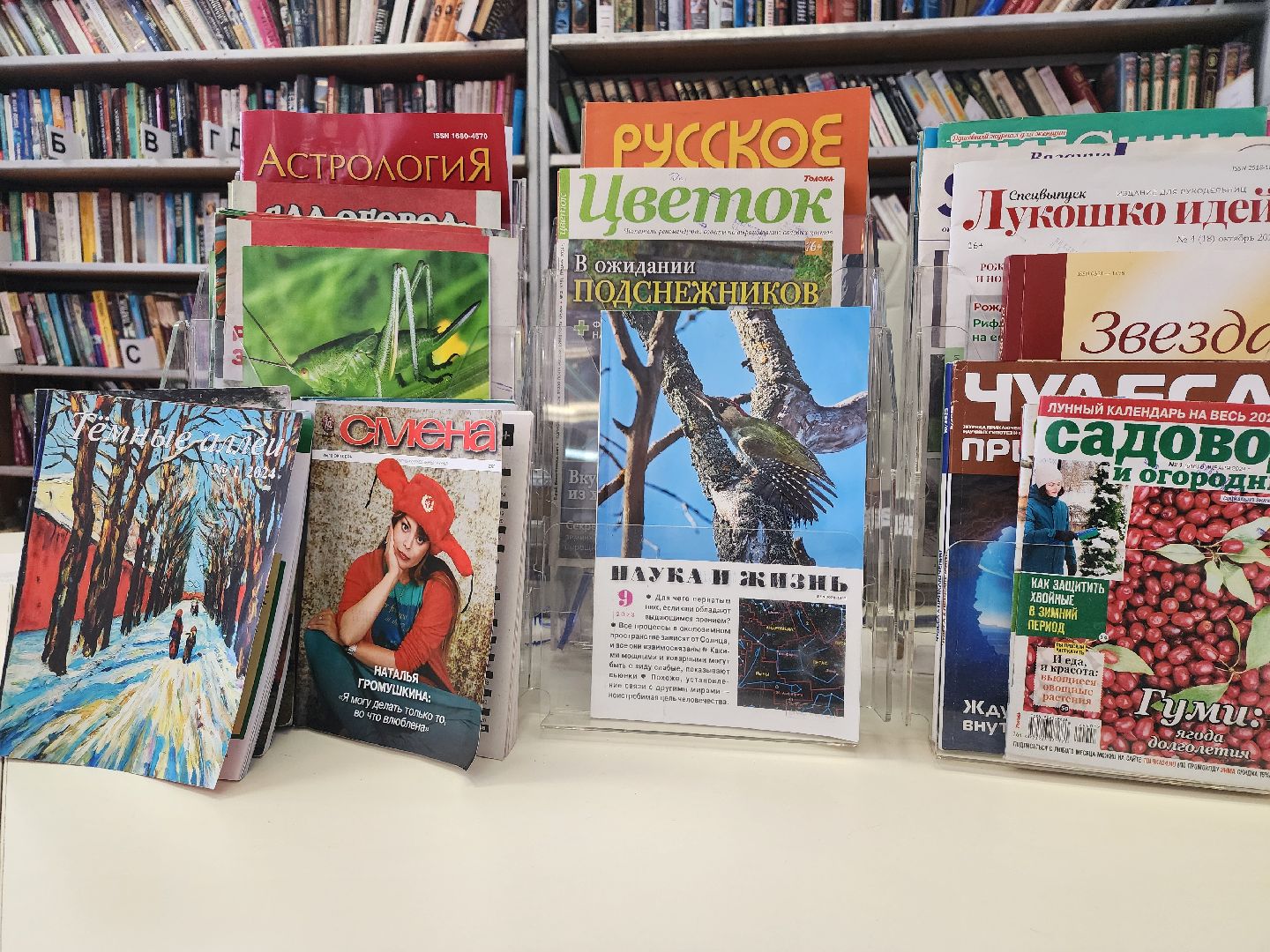 библиотека, книги, центр культуры, Старая Купавна, Богородский городской округ,