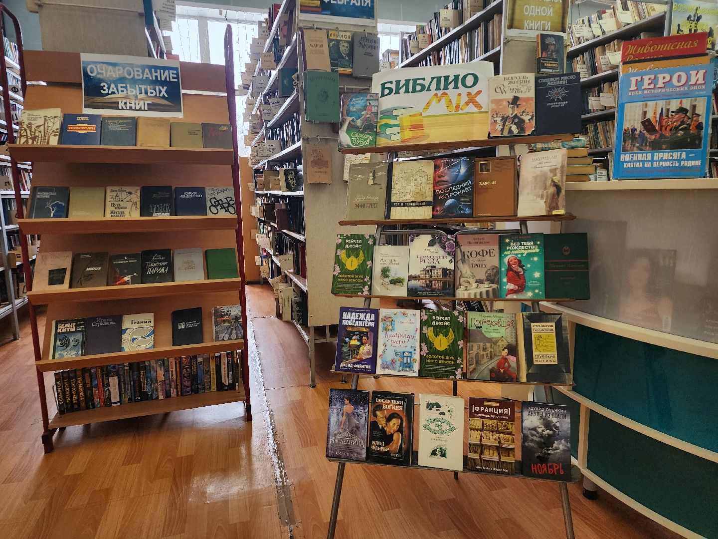 библиотека, книги, центр культуры, Старая Купавна, Богородский городской округ,