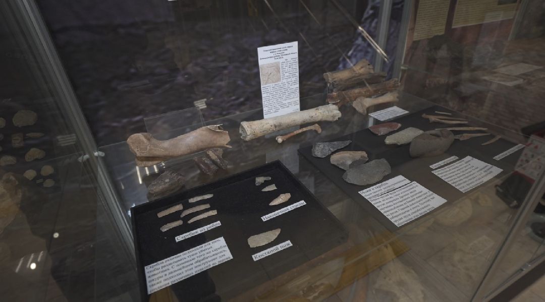 Домодедово, поисковики, артефакт, орудие каменного века