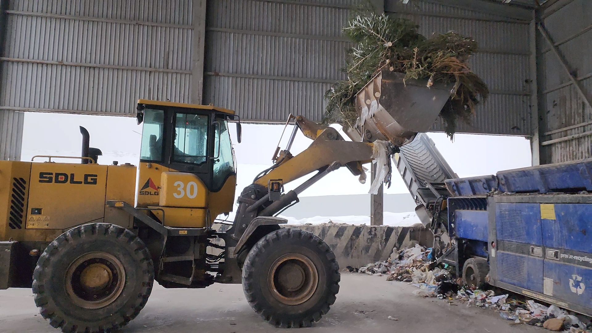 КПО, Егорьевск, подари елке вторую жизнь, Подмосковье, экология, московская область,
