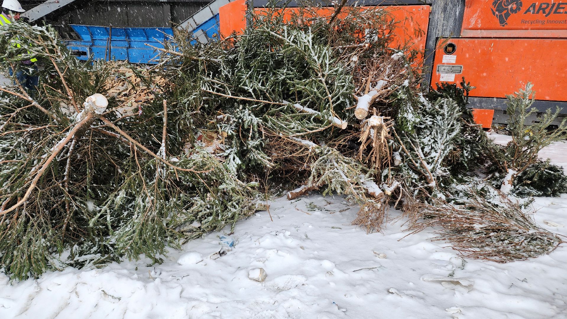 КПО, Егорьевск, подари елке вторую жизнь, Подмосковье, экология, московская область,