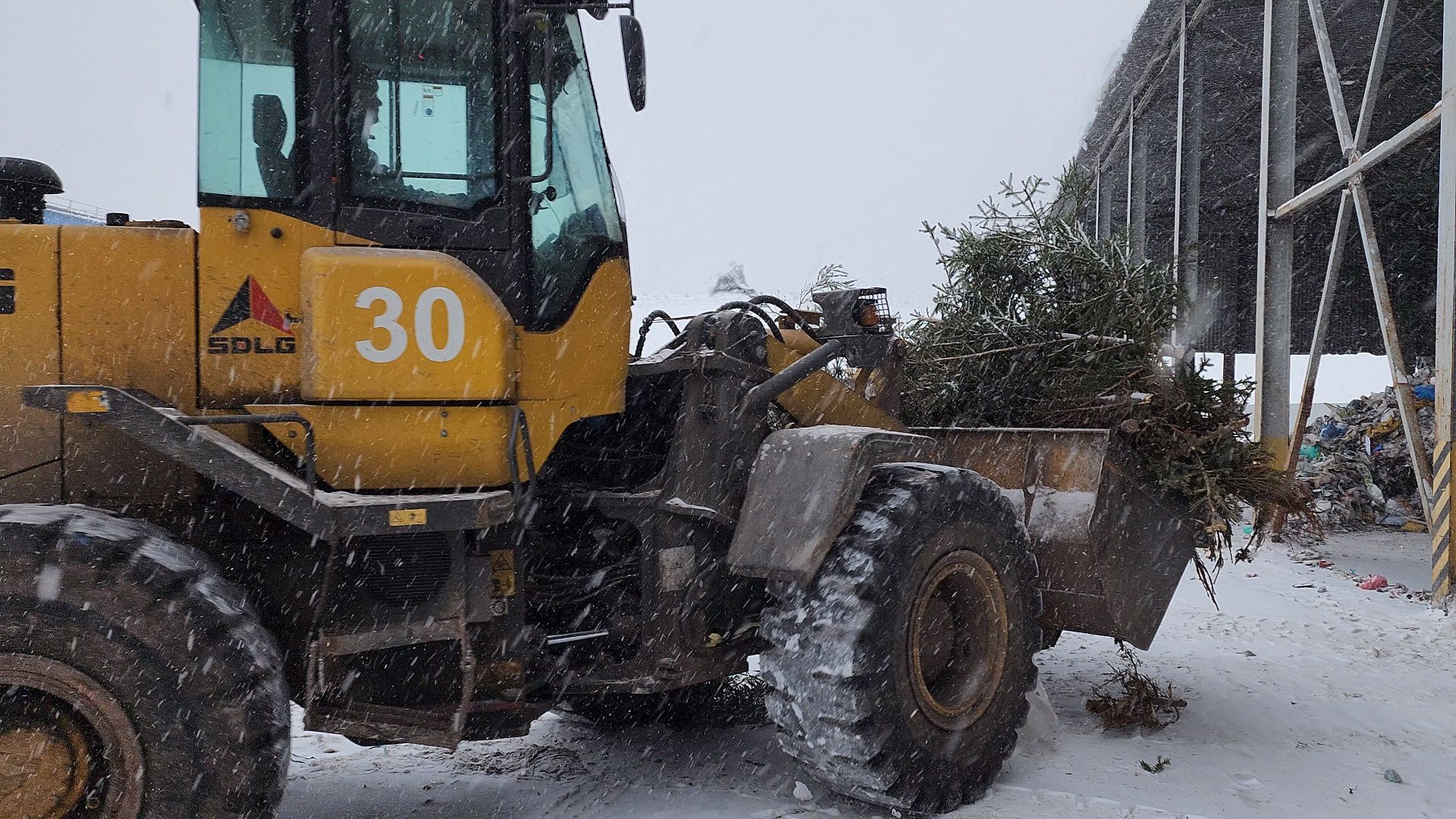 КПО, Егорьевск, подари елке вторую жизнь, Подмосковье, экология, московская область,