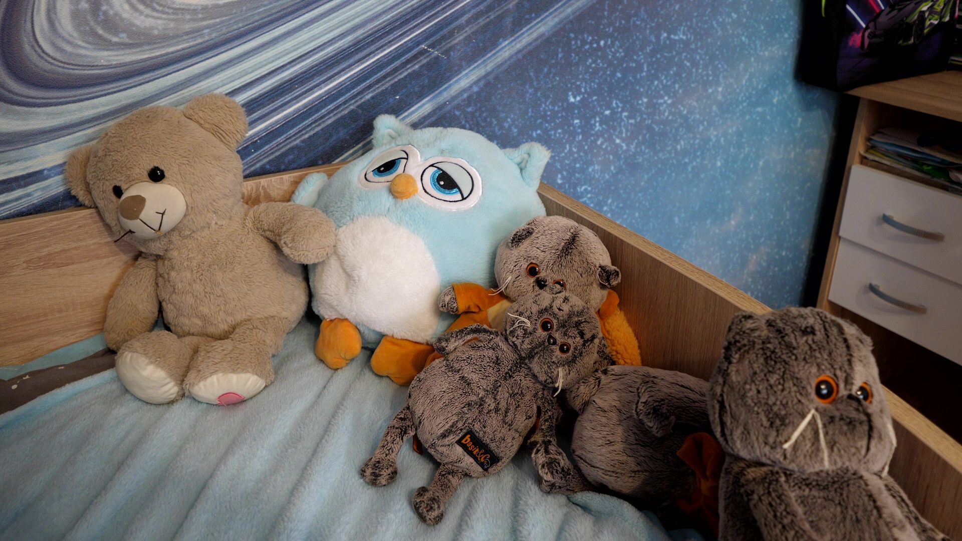 Видное, Ленинский городской округ, мобилизованный, семья, СВО, лагерь, отдых, спорт,