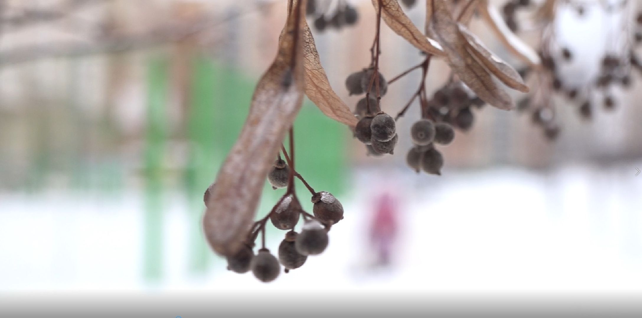 уборка снега, микрорайон Южный, Благосервис, Домодедово,