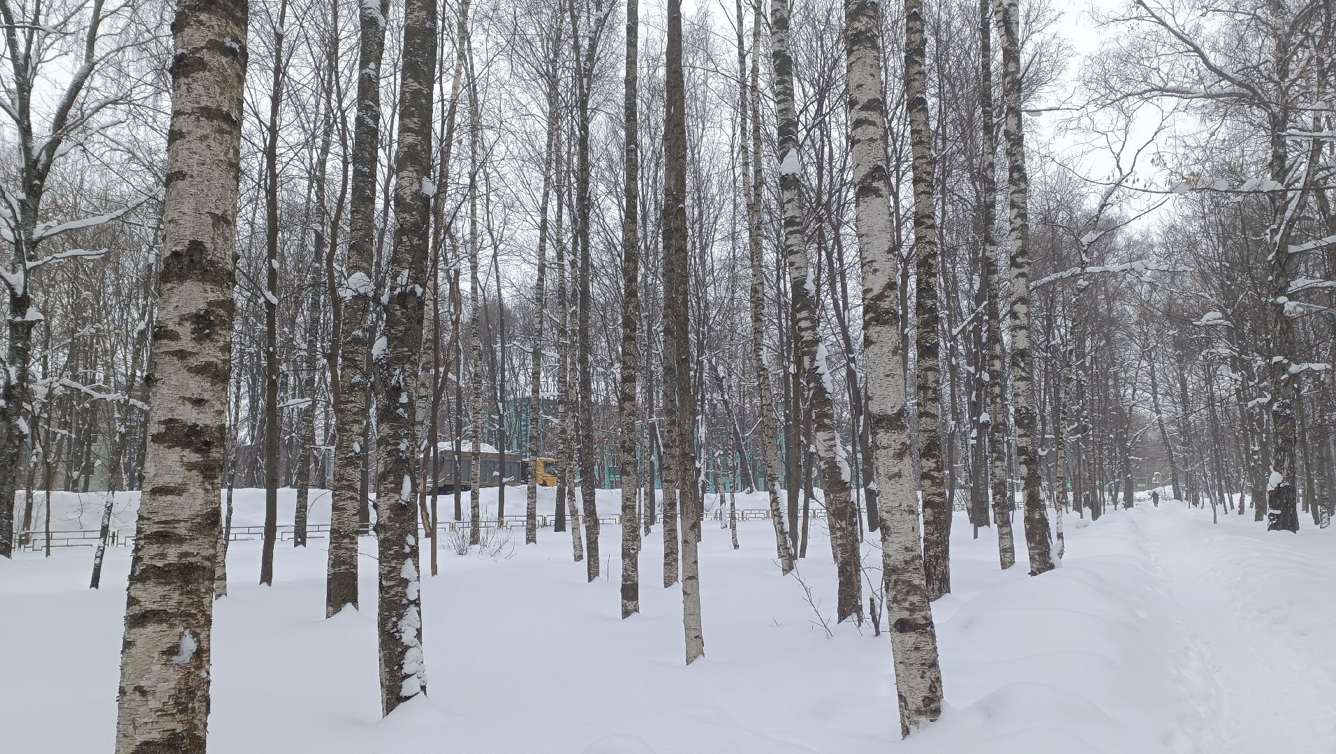 уборка дорог, уборка парка, вывоз снега,