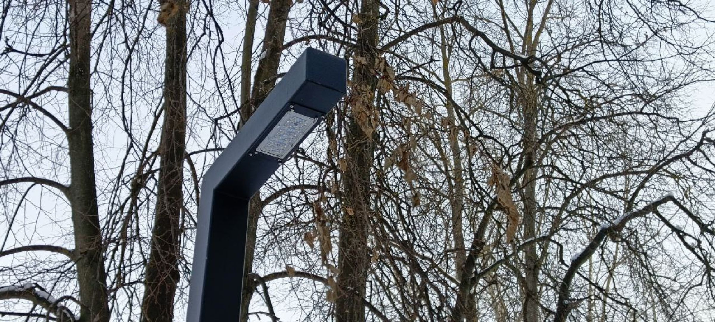 Дмитров, Медколледж, Глава Дмитровского округа,