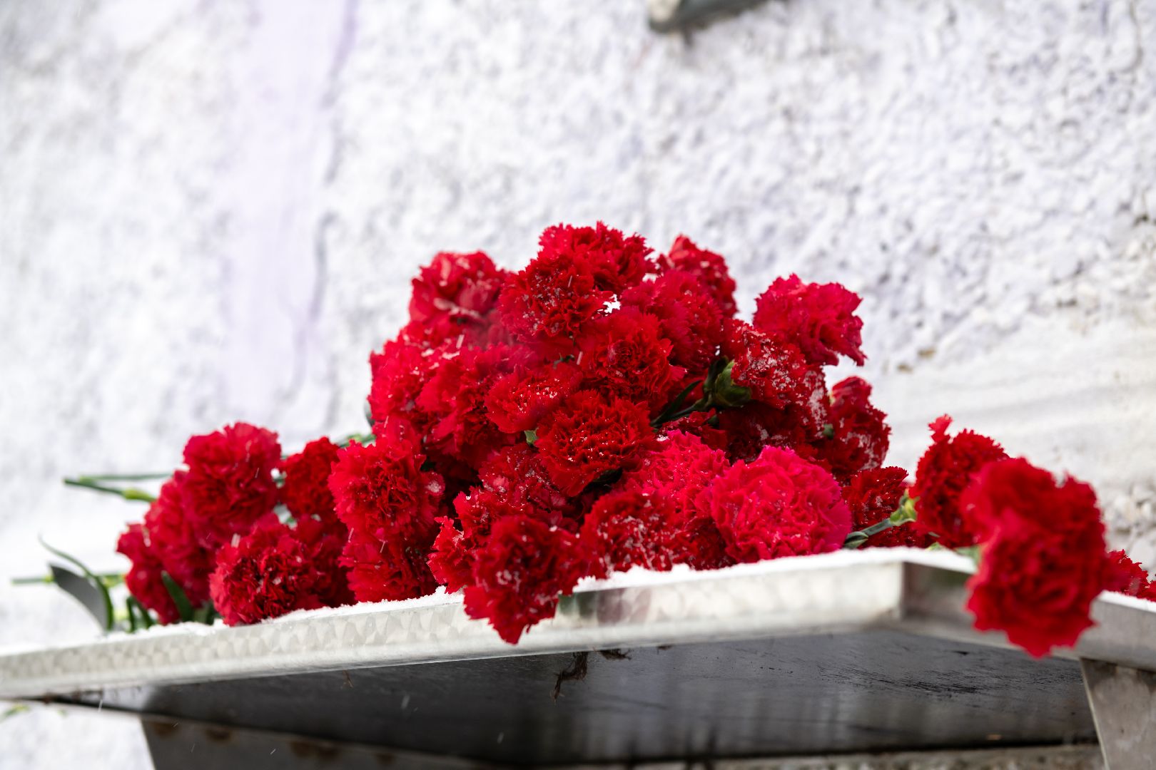 лыткарино, общество, день памяти воинов-интернационалистов,