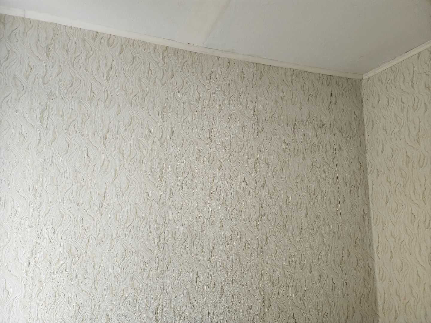 подольск, волонтеры подмосковья, ремонт,