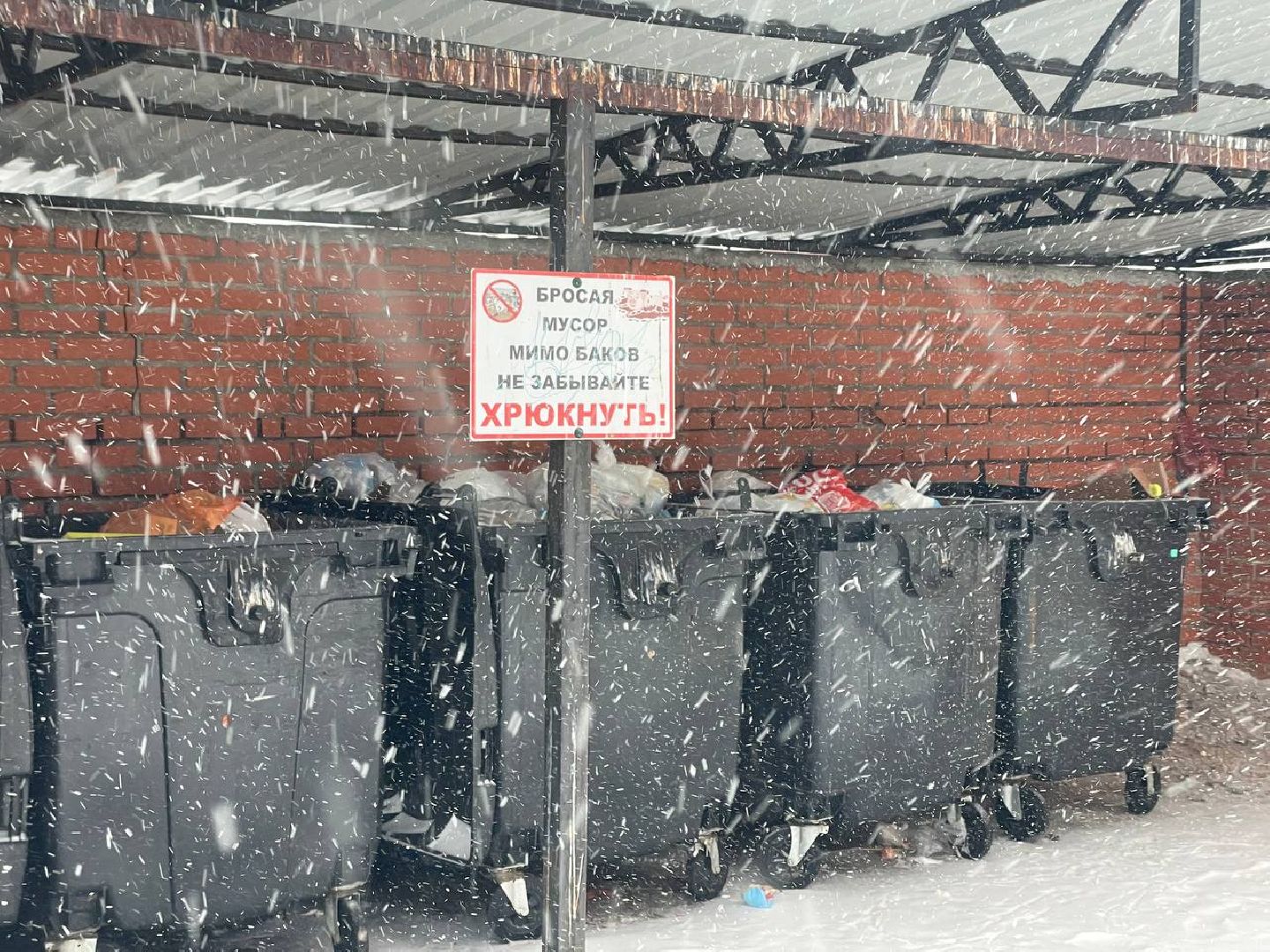 Парковка, Уборка мусора, Контейнерная площадка, МПС, Сергиев Посад, Закон, ПДД,