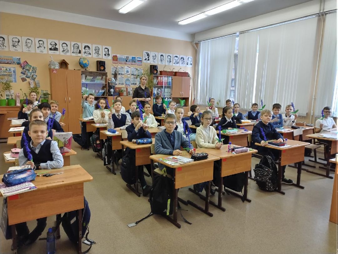 Реутов, образование, Крым, лаванда, цветы, букеты