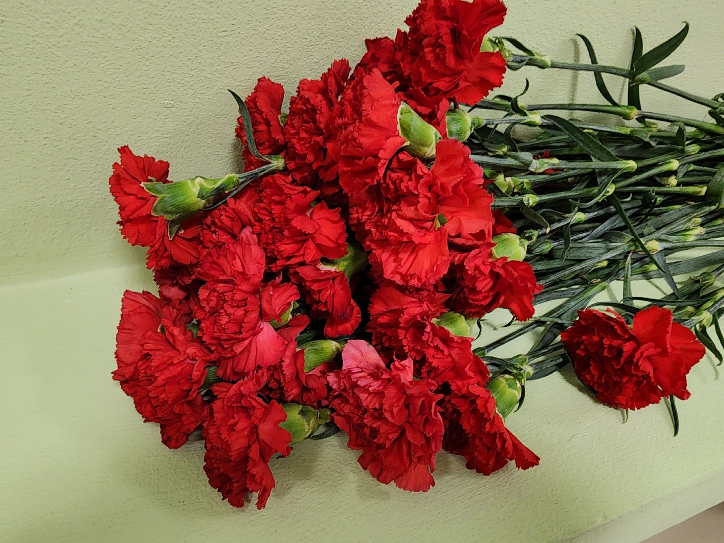 сво, стенд героя,