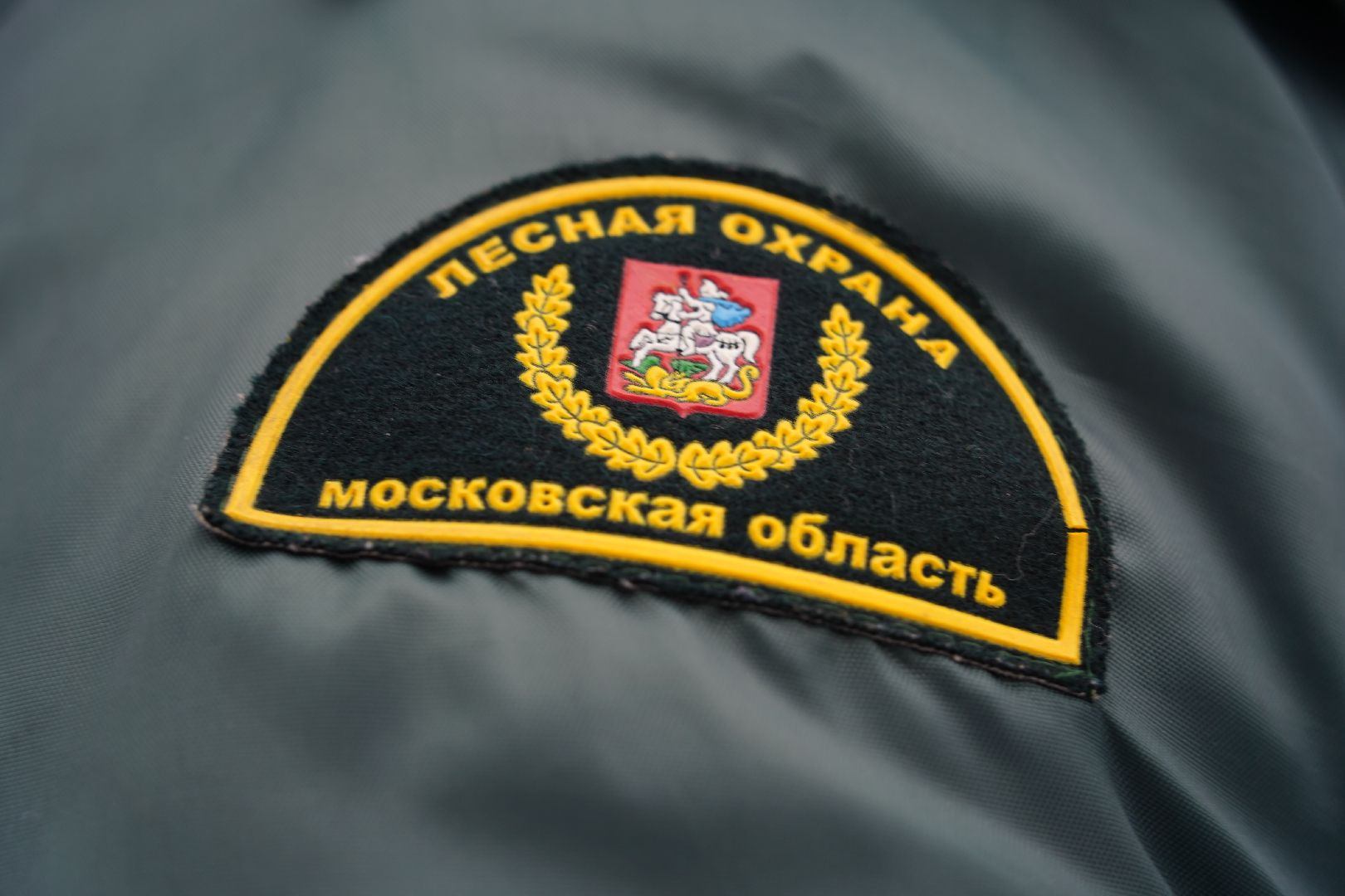 лесной патруль, Мособллес, Шатура, лесфонд, лесное хозяйство,