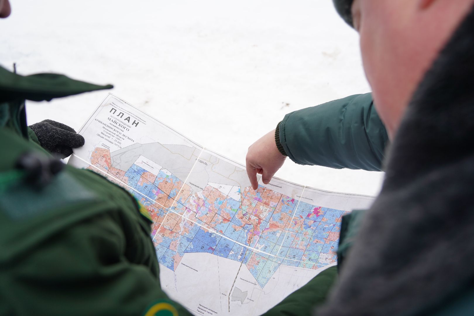 лесной патруль, Мособллес, Шатура, лесфонд, лесное хозяйство,