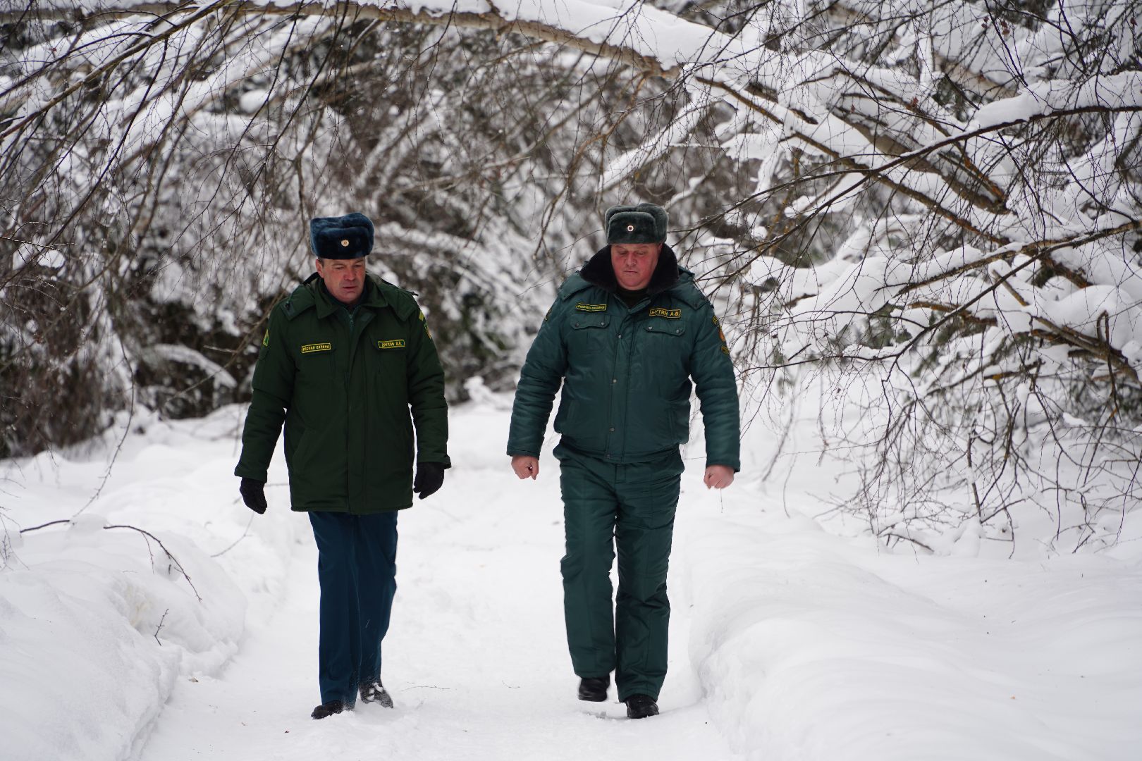 лесной патруль, Мособллес, Шатура, лесфонд, лесное хозяйство,