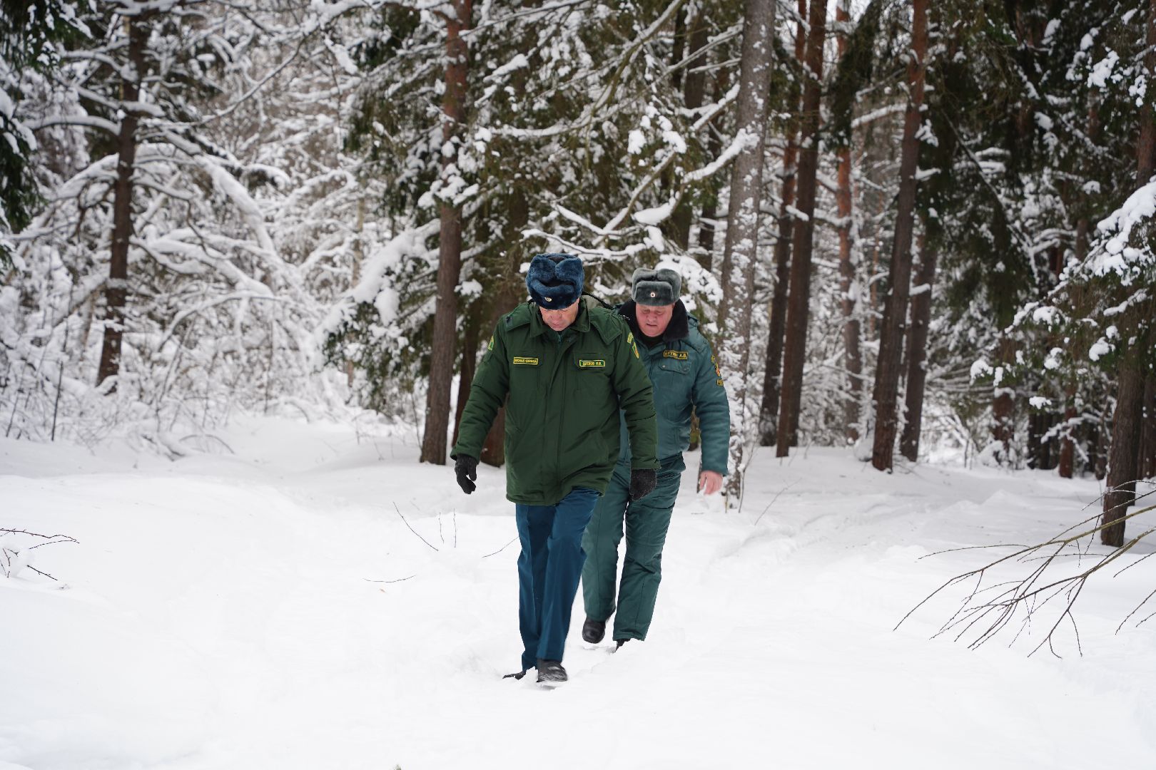 лесной патруль, Мособллес, Шатура, лесфонд, лесное хозяйство,
