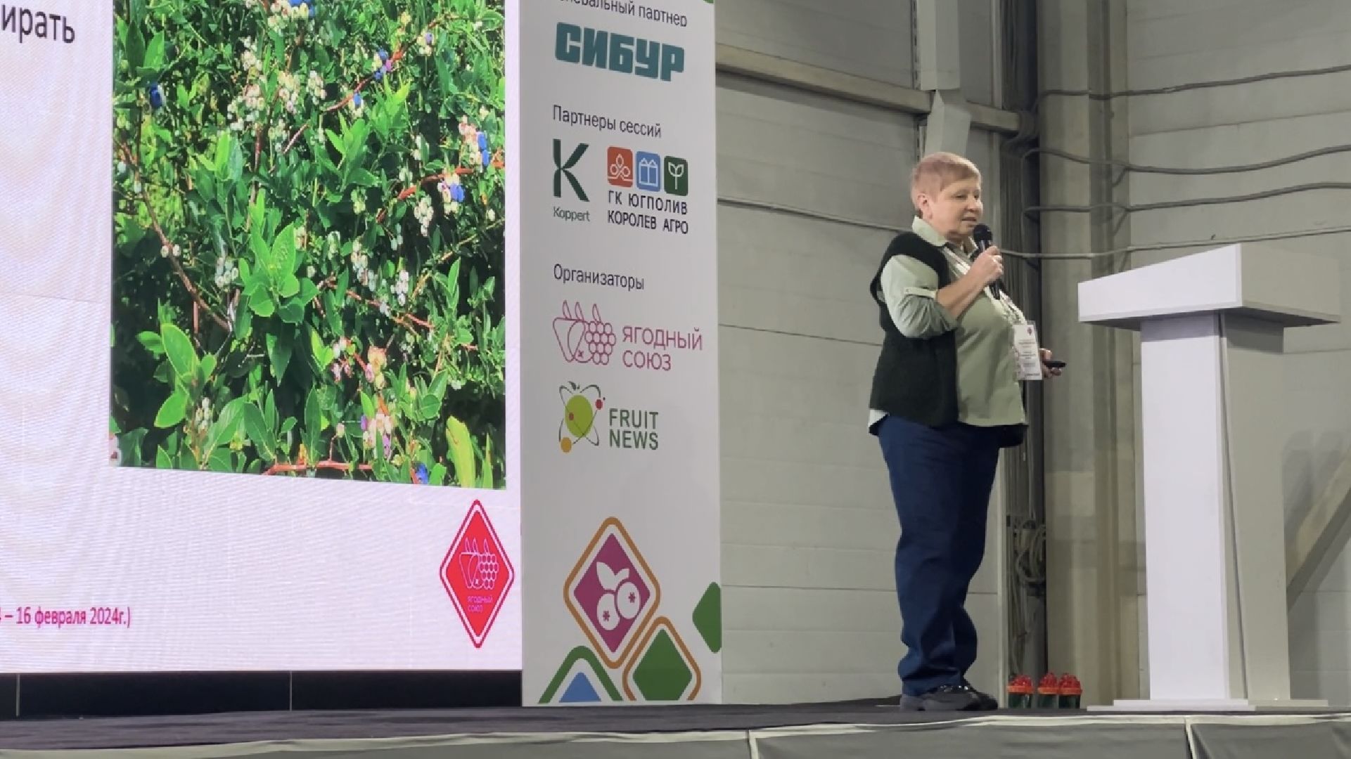 химки, экономика, конференция, сельское хозяйство, ягоды россии,