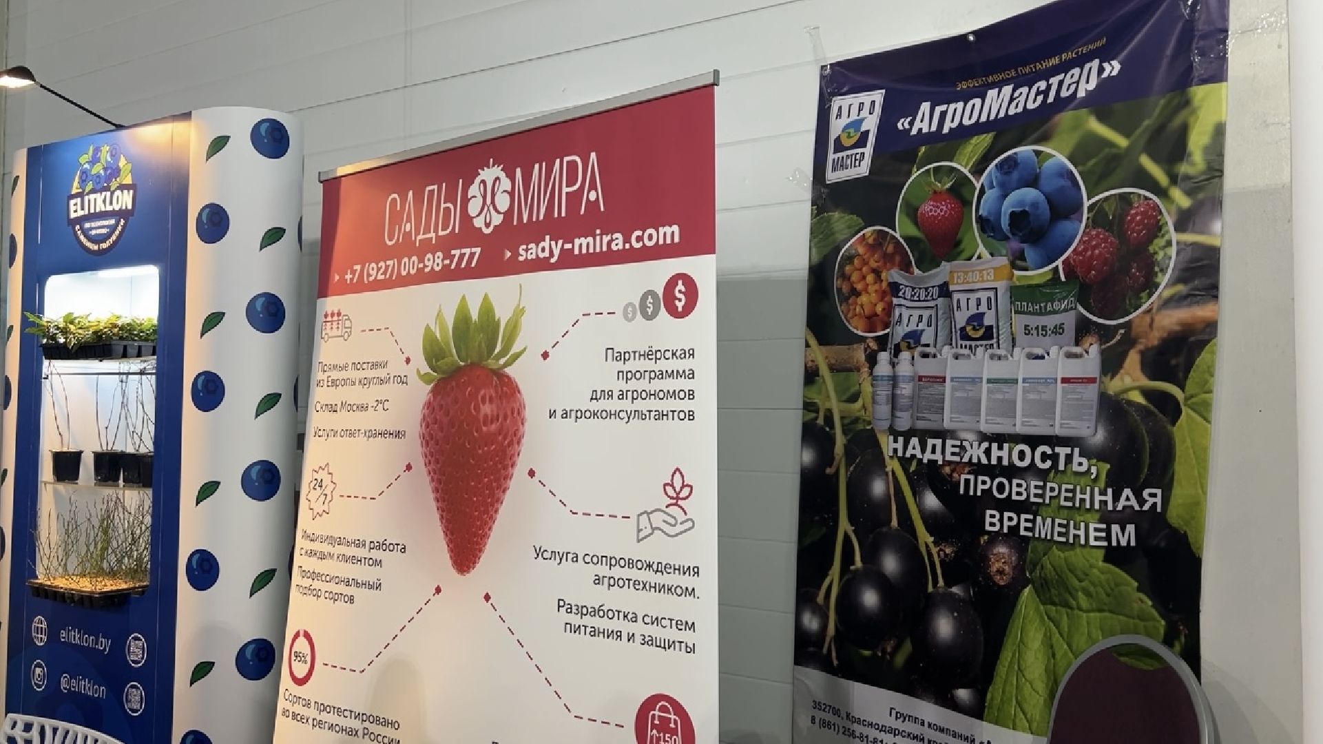 химки, экономика, конференция, сельское хозяйство, ягоды россии,