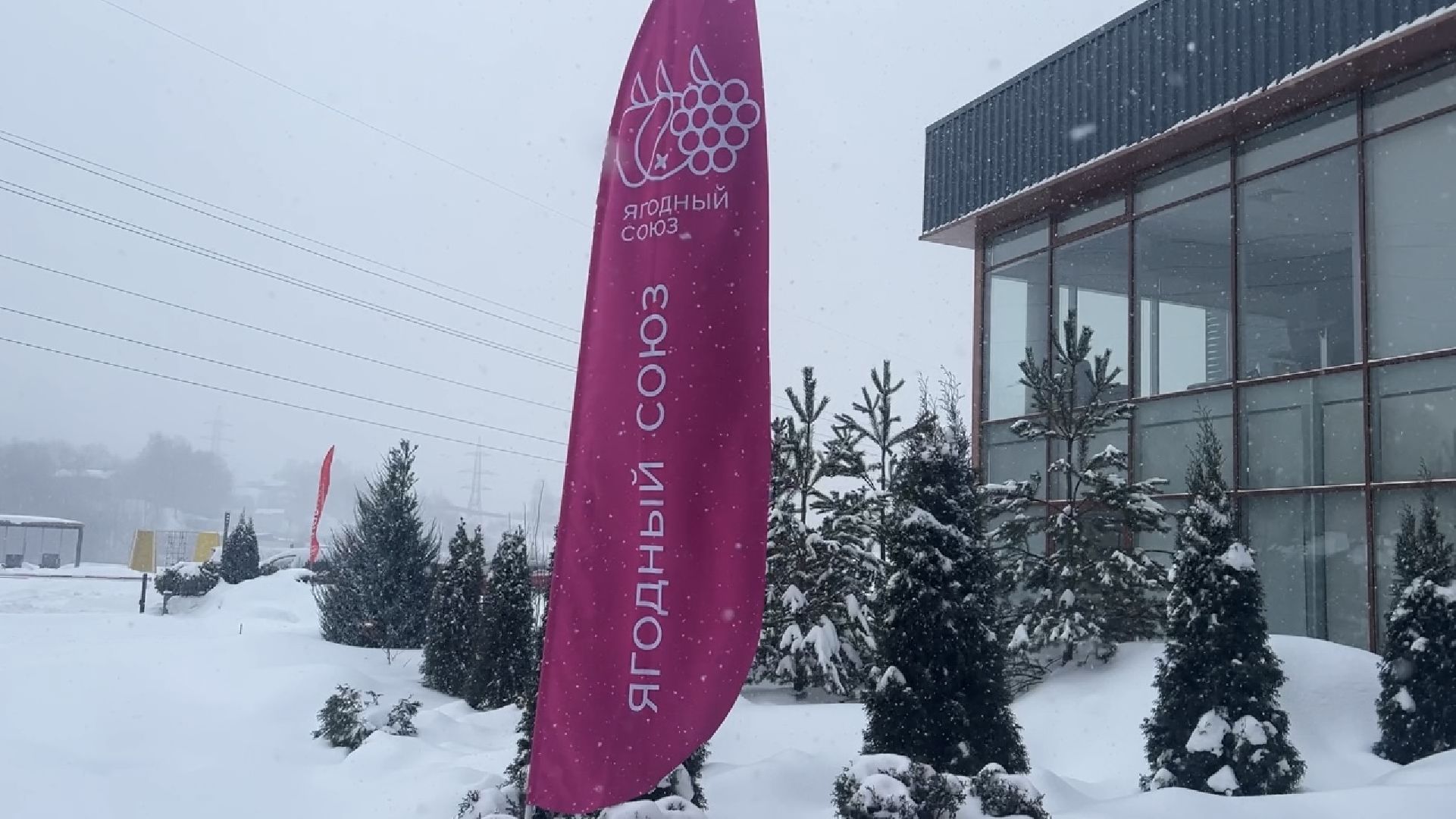 химки, экономика, конференция, сельское хозяйство, ягоды россии,