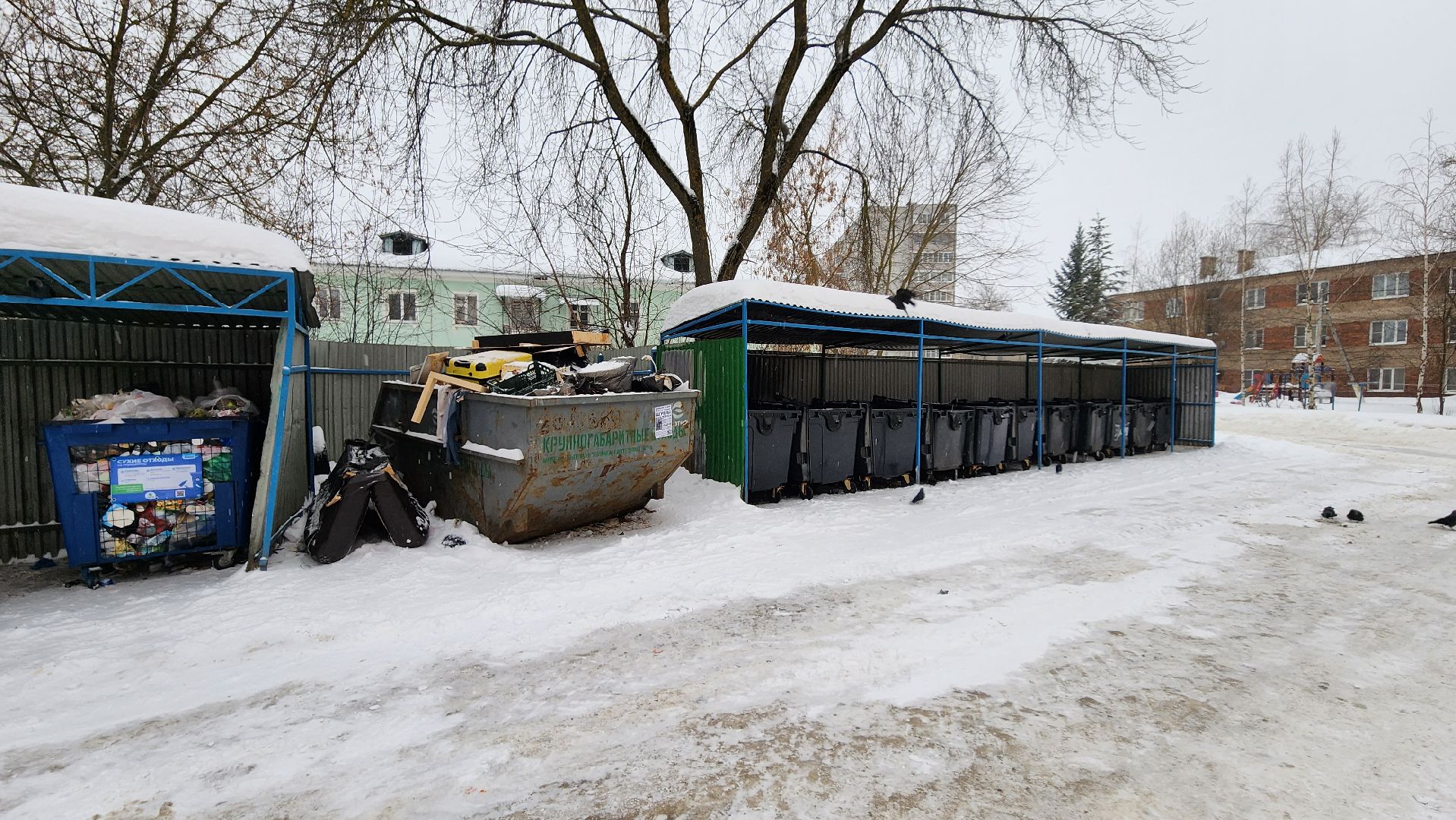 контейнерная площадка, Лосино-Петровский, вывоз мусора,
