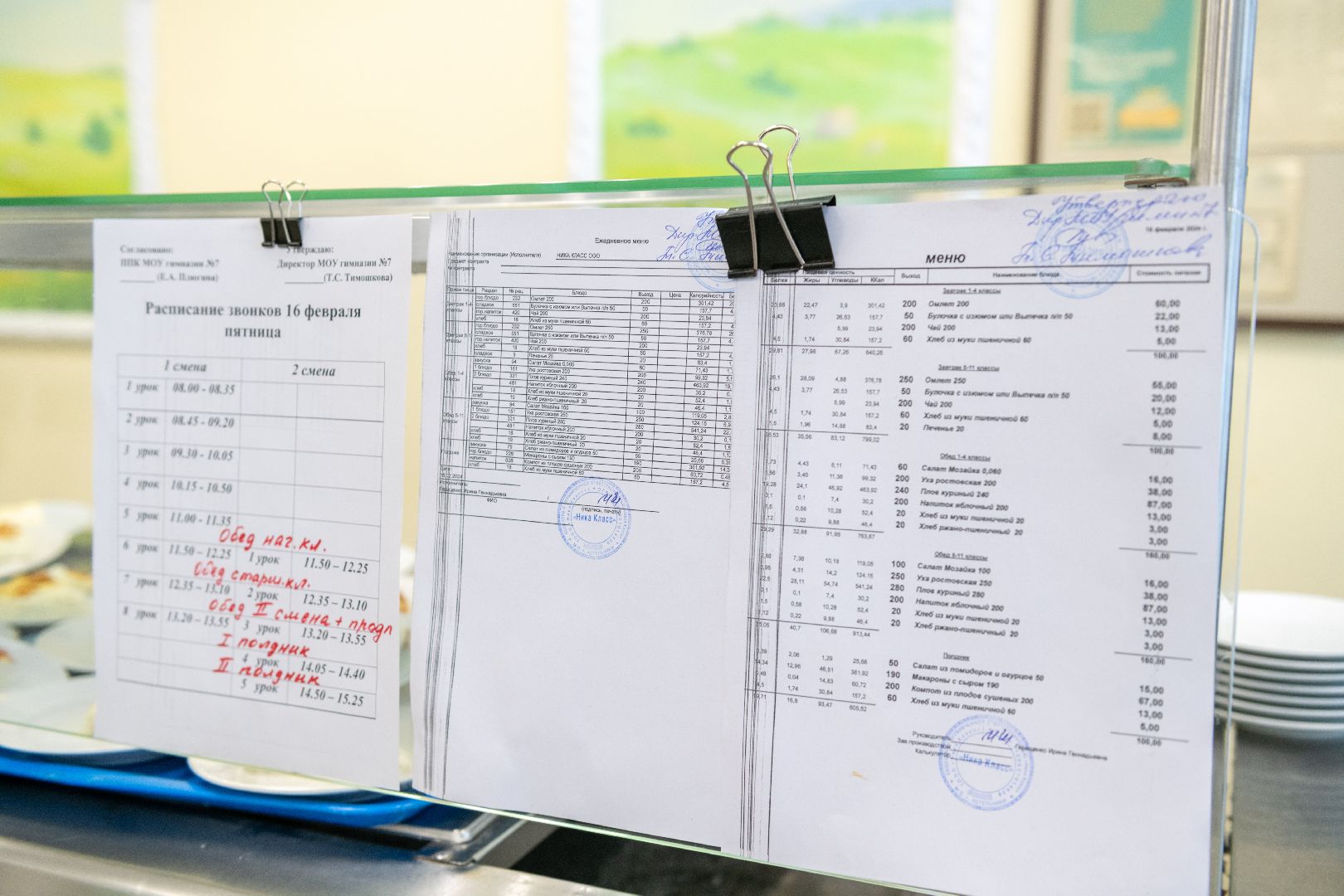 лыткарино, контроль питания, гимназия 7,