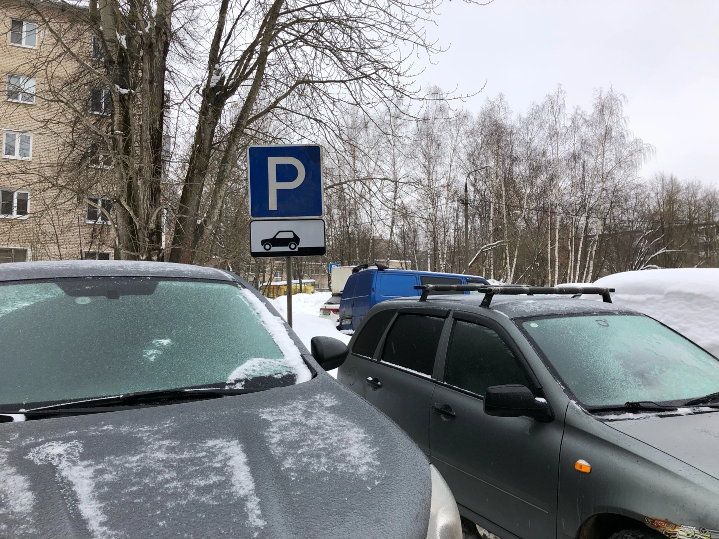 контейнерная площадка, знаки запрета парковки, фрязино,