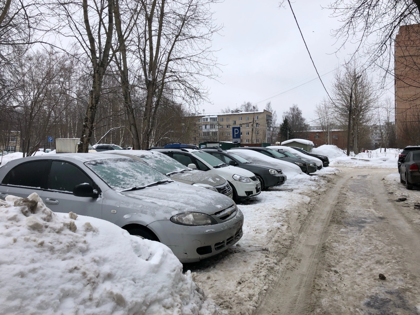 контейнерная площадка, знаки запрета парковки, фрязино,