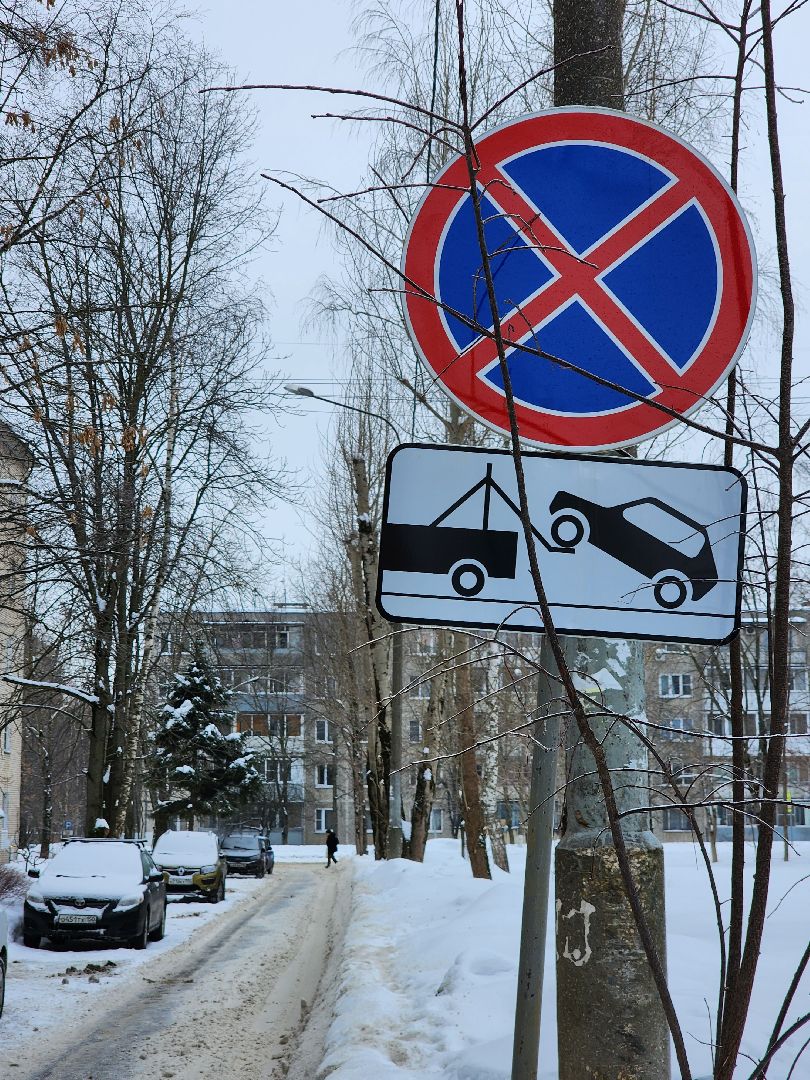 контейнерная площадка, знаки запрета парковки, фрязино,