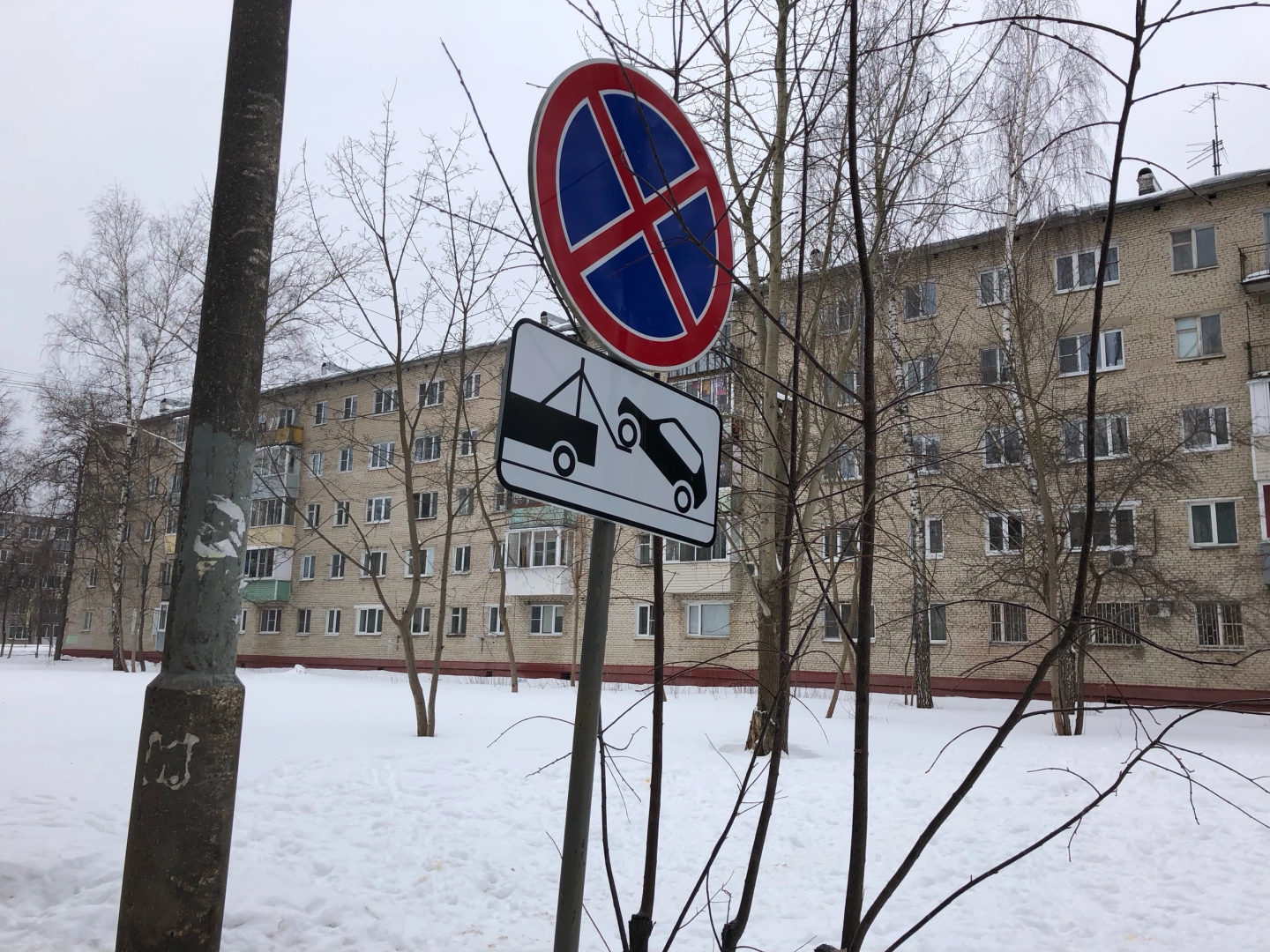 контейнерная площадка, знаки запрета парковки, фрязино,