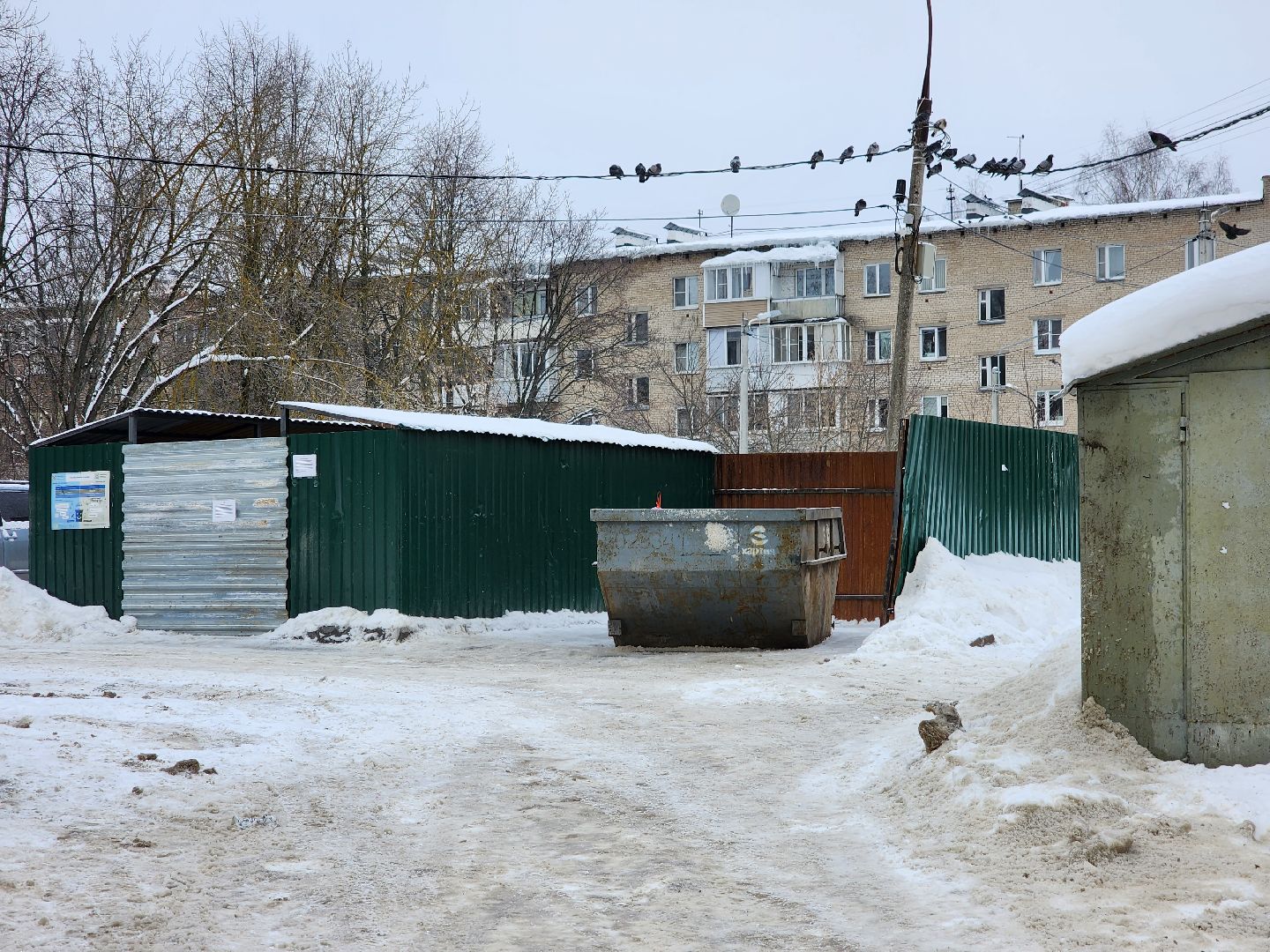 контейнерная площадка, знаки запрета парковки, фрязино,
