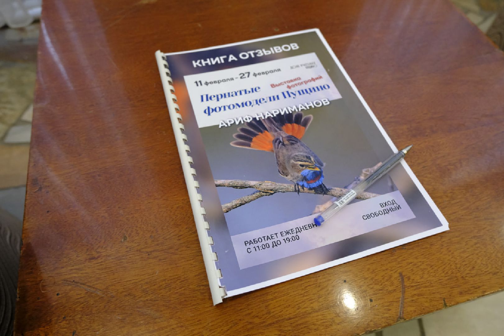 пущино, фотографы, фото, фотовыставка, птица, птицы, птицы подмосковья, подмосковье,