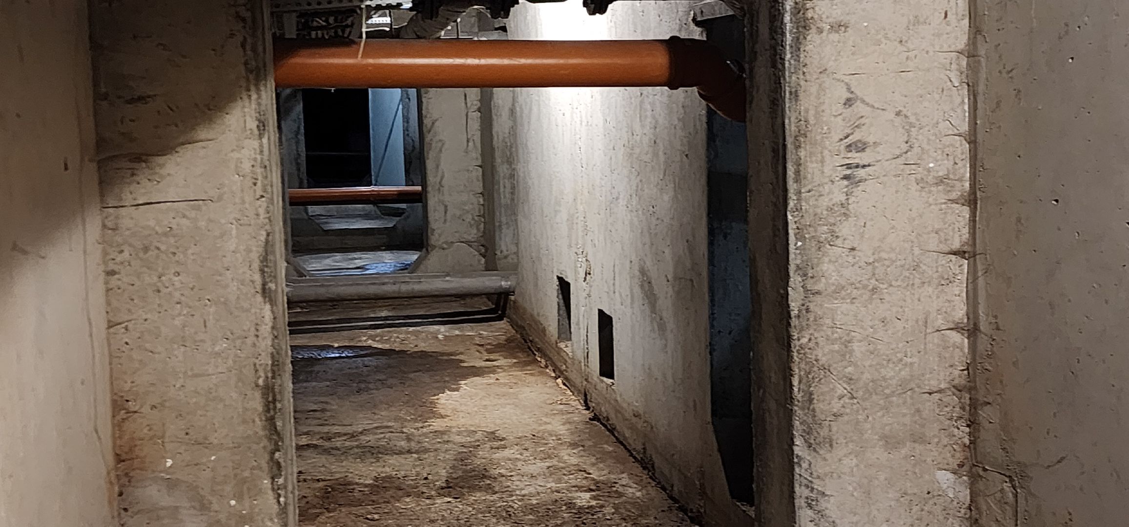 сухие подвалы, Домодедово - парк, работа по просьбе жителей,