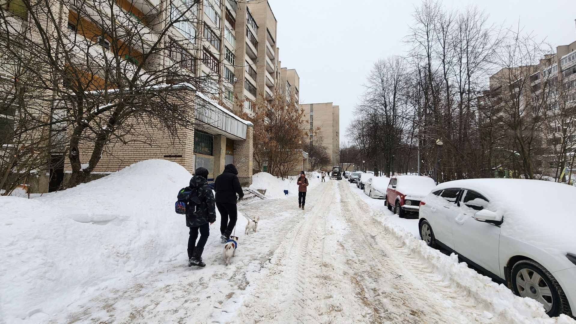уборка, уборка снега, благоустройство, протвино, комбинат благоустройства,