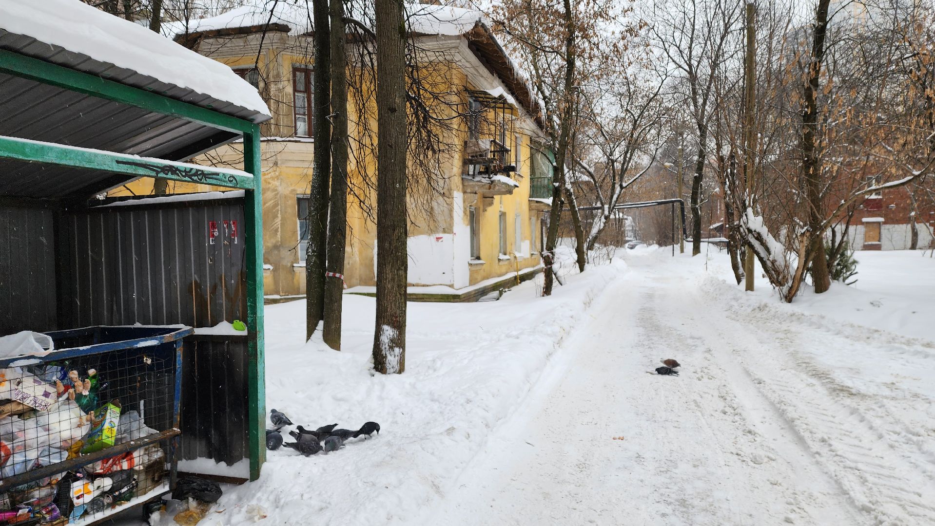 Одинцово, Контейнеры, Тко,