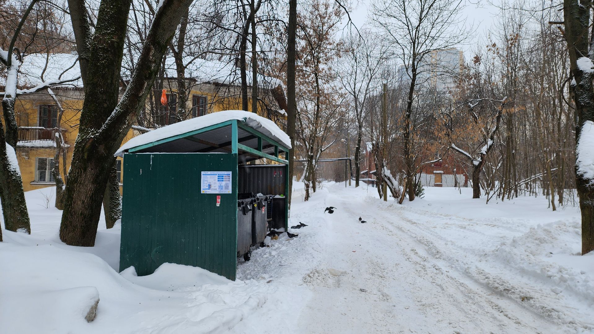 Одинцово, Контейнеры, Тко,