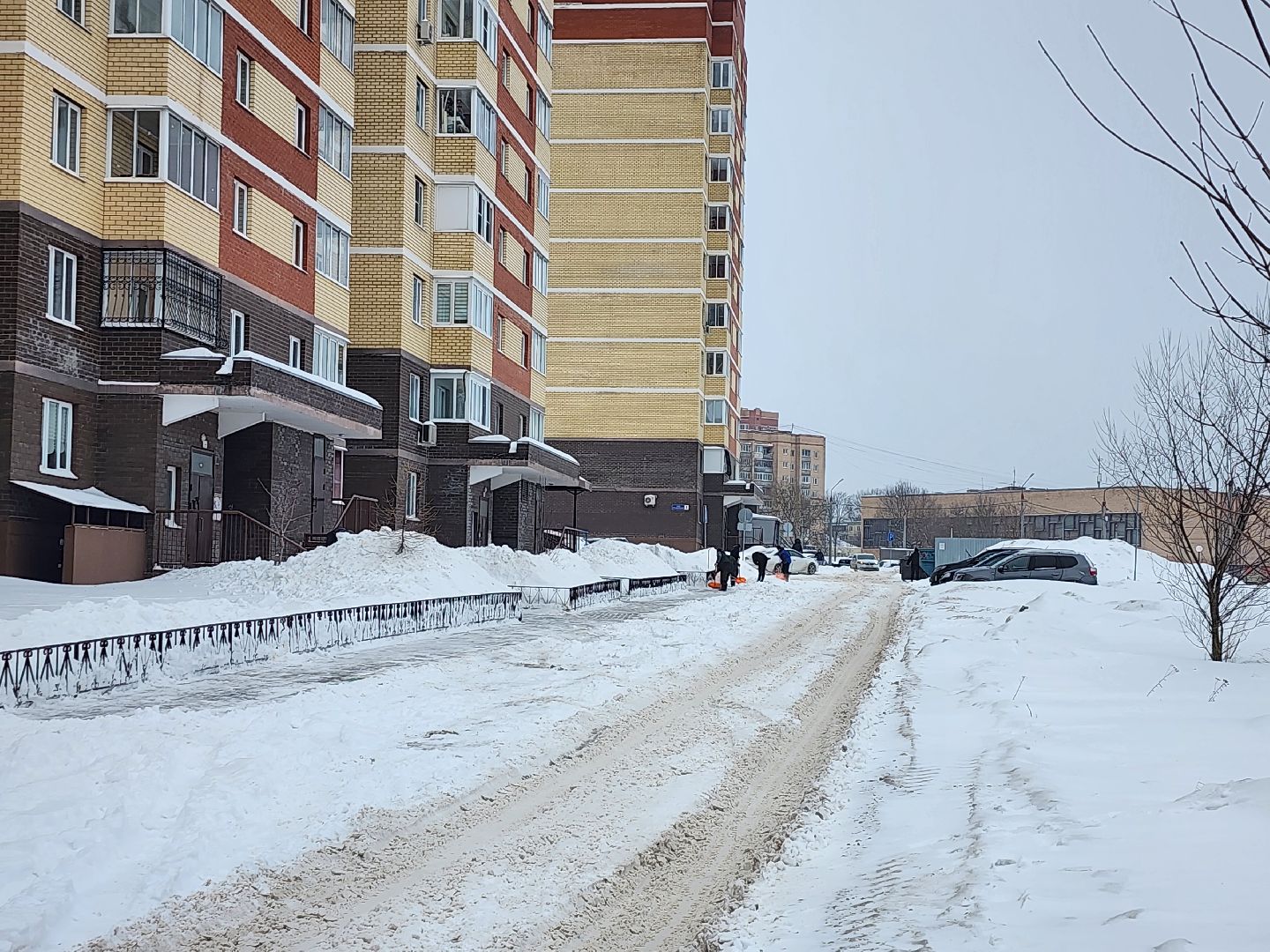 серпухов, подмосковье, знаки запрета парковки, мкр Ногина,